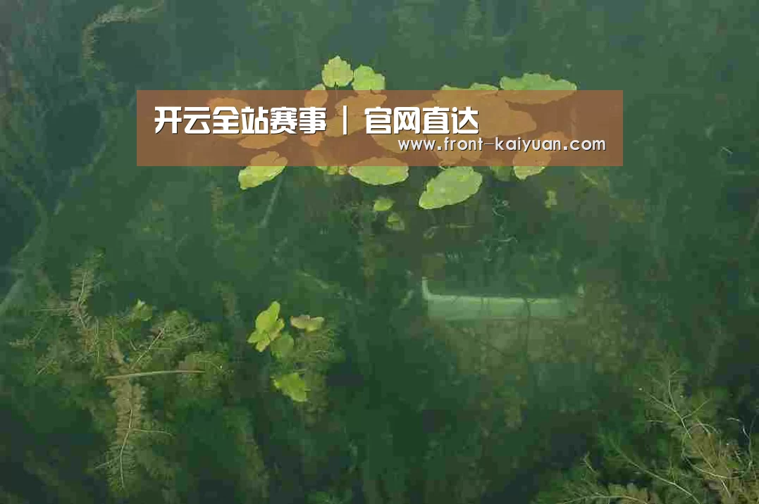案例展示三(图1)
