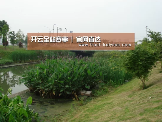 案例展示四(图1)