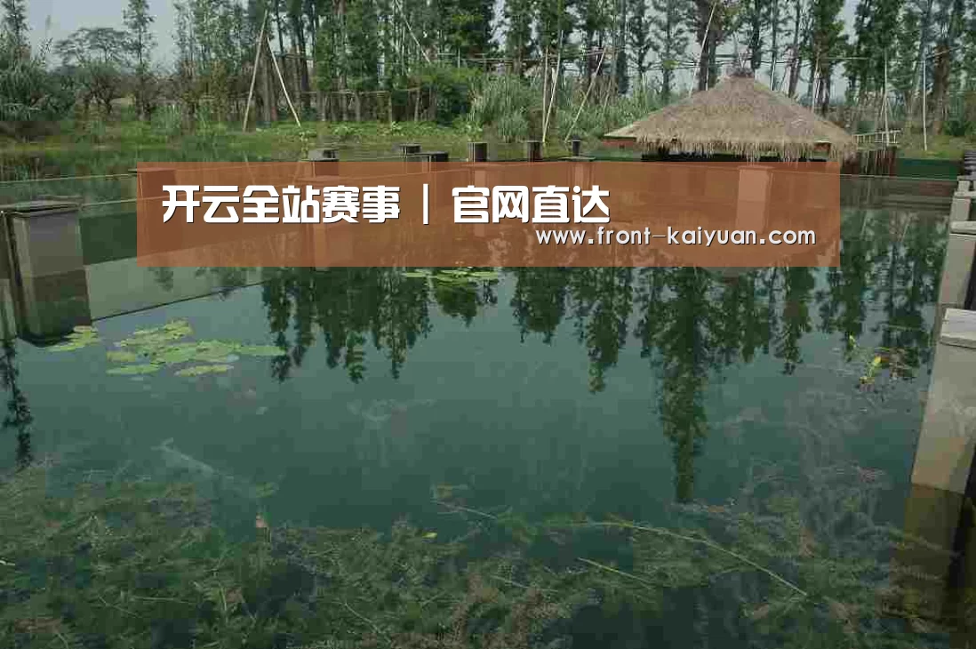 案例展示二(图1)