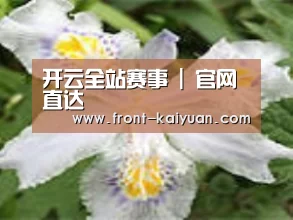 产品名称二