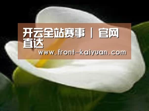 产品名称七
