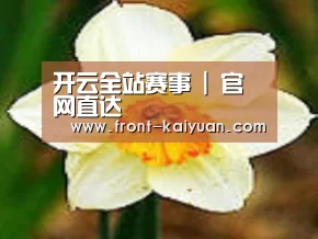 产品名称四