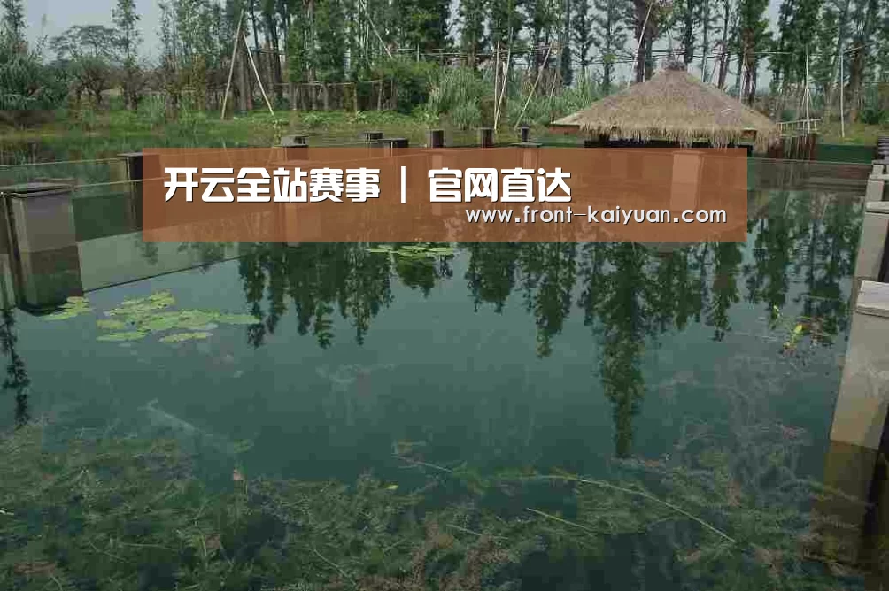 案例展示二