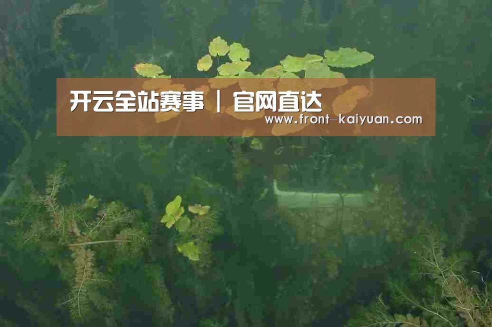 案例展示三