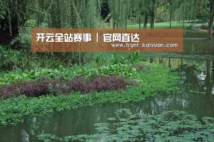 案例展示一