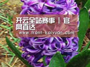产品名称八