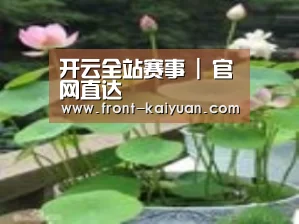 产品名称一