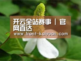 产品名称三