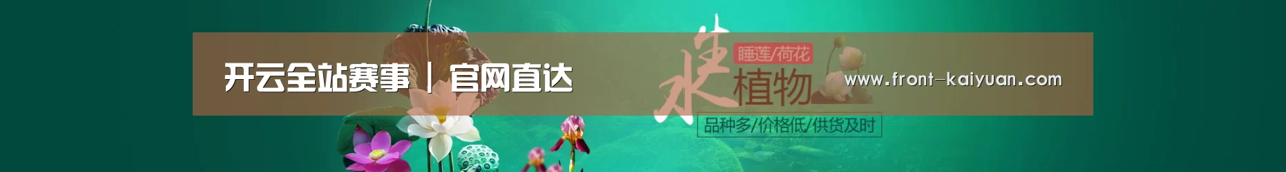 鲜花水草花卉网站模板
