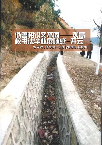 开云官网入口