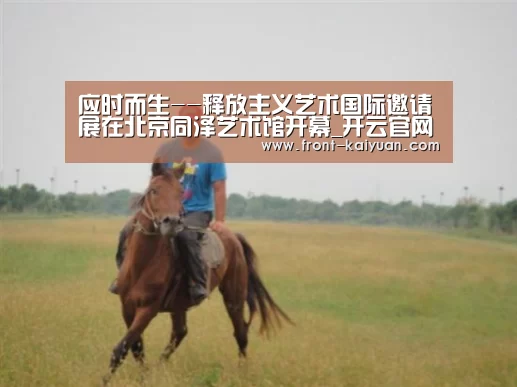 应时而生--释放主义艺术国际邀请展在北京同泽艺术馆开幕_开云官网入口(图1) 开元体育