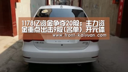 1178亿资金争夺20股:主力资金重点出击9股(名单)_开元体育(图1) 开元体育