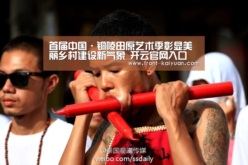 首届中国·铜陵田原艺术季彰显美丽乡村建设新气象_开云官网入口(图2) 开元体育app