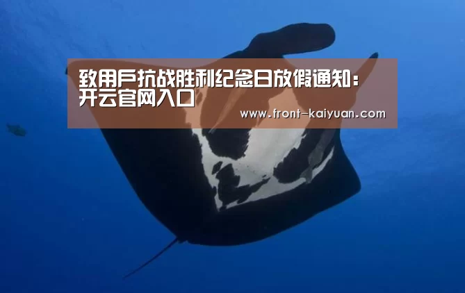 开云官网入口