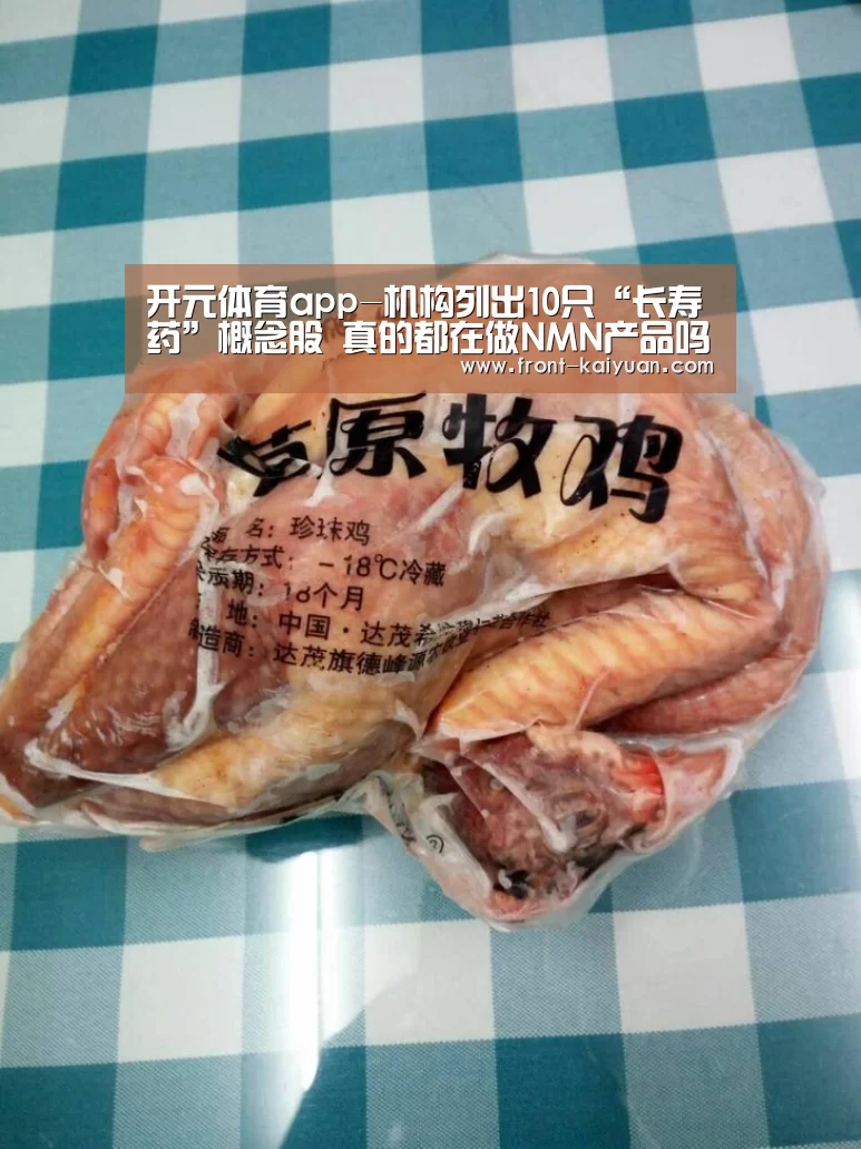 开云官网入口