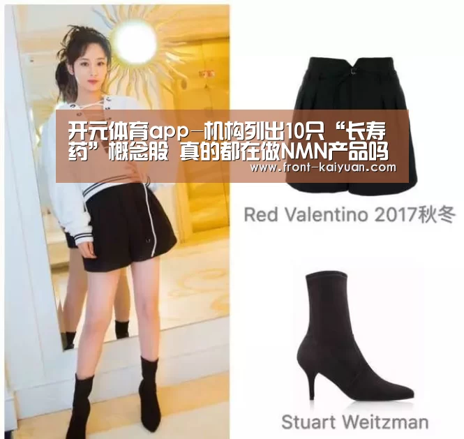 开云体育网站