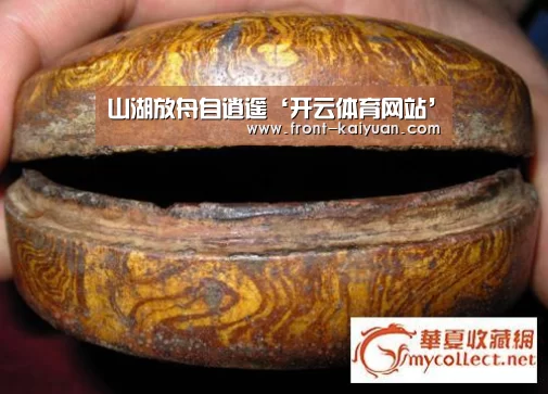 开云官网入口