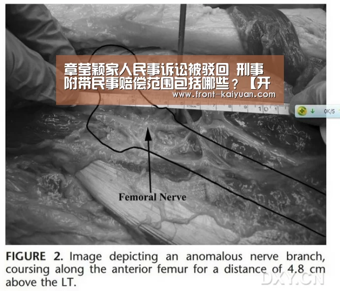 章莹颖家人民事诉讼被驳回 刑事附带民事赔偿范围包括哪些?【开元体育app】(图1) 开元体育app