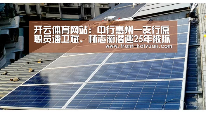 开云体育网站:中行惠州一支行原职员潘卫斌、林志蘅潜逃25年被抓捕归案(图3) 开元体育app
