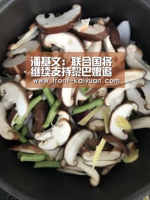 潘基文:联合国将继续支持黎巴嫩追查哈里里遇刺案|开元体育app(图1) 开元体育