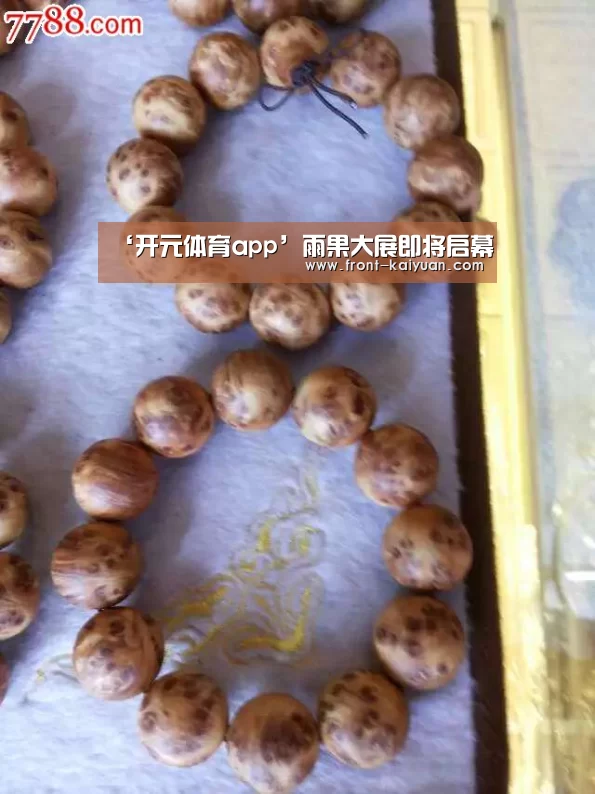 ‘开元体育app’雨果大展即将启幕(图1) 开元体育app