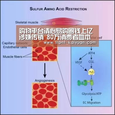 购物平台清心易购圈钱上亿涉嫌传销 80万消费者血本无归|开元体育app(图2) 开元体育
