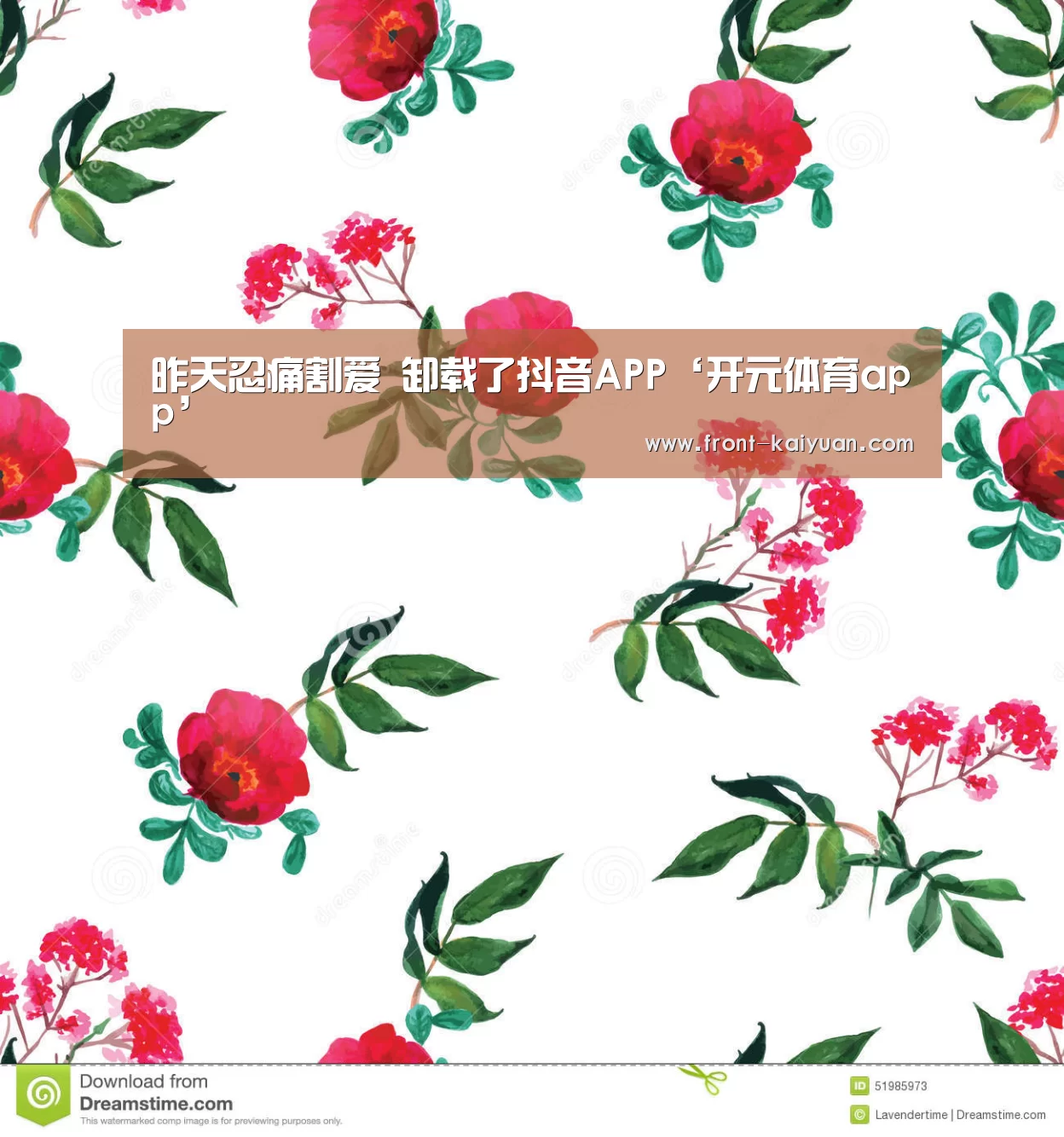 昨天忍痛割爱 卸载了抖音APP‘开元体育app’(图1) 开元体育