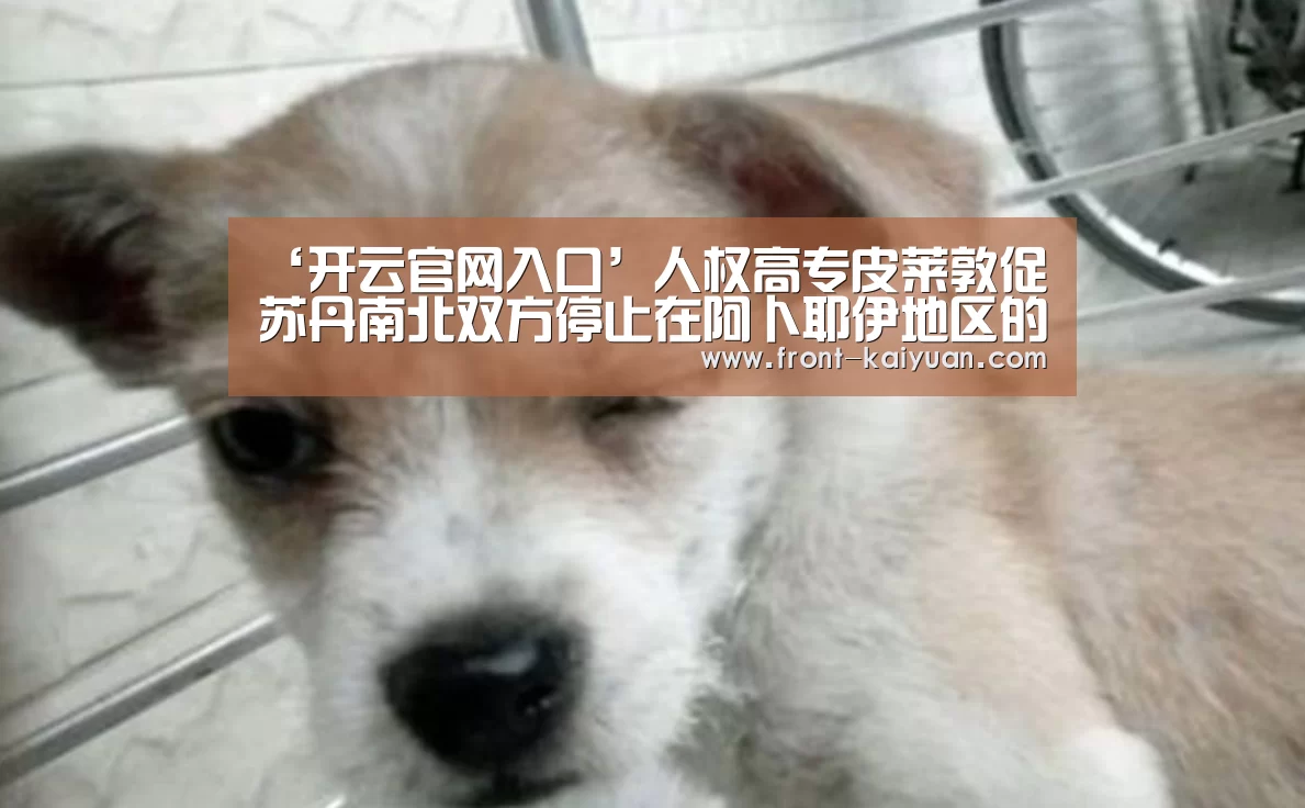 ‘开云官网入口’人权高专皮莱敦促苏丹南北双方停止在阿卜耶伊地区的冲突(图1) 开元体育